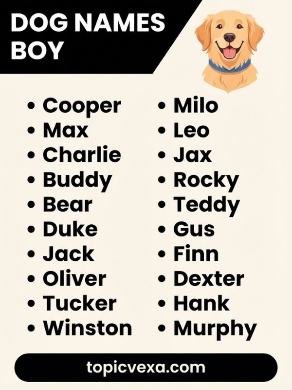 Dog Names Boy