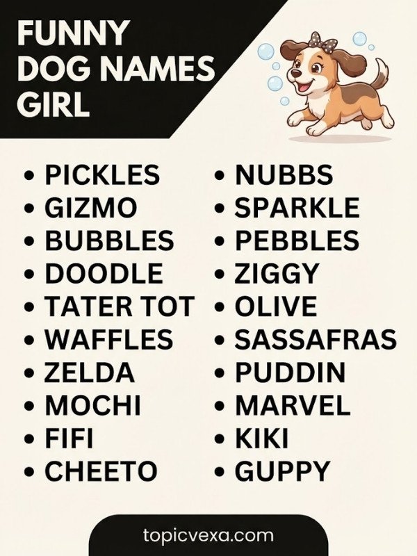 Funny Dog Names Girl
