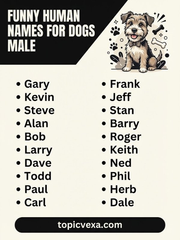 Funny Human Names For Dogs Male