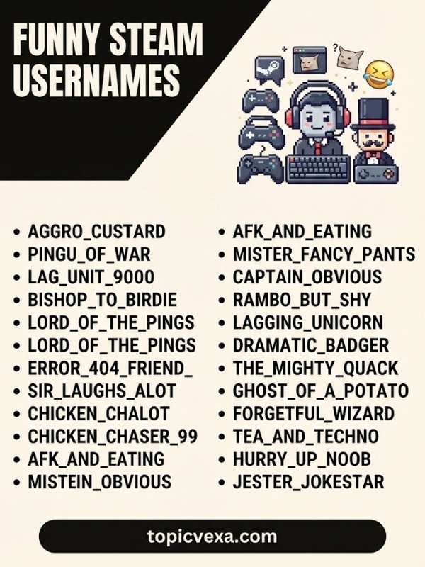 Funny Steam Usernames