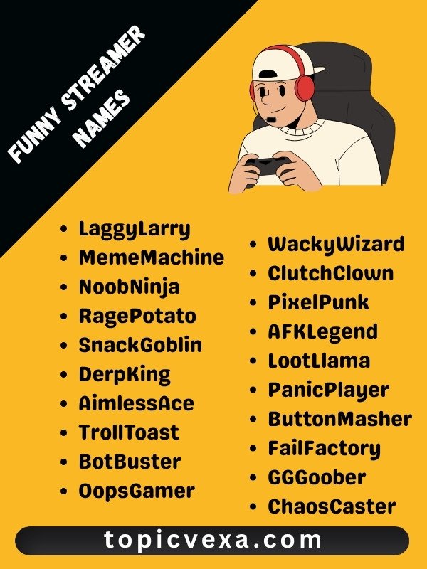Funny Streamer Names