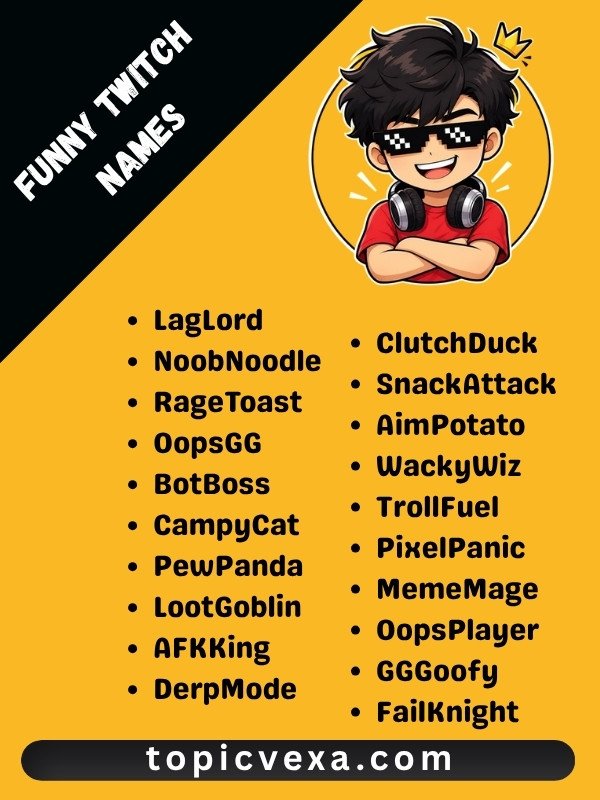 Funny Twitch Names
