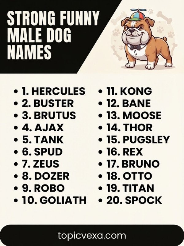 Strong Funny Male Dog Names